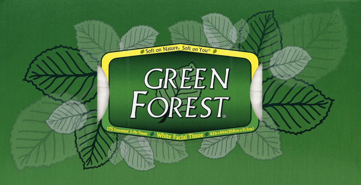 slide 3 of 7, Green Forest Facial Tissue, 175 ct