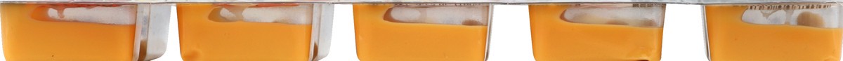 slide 4 of 5, J.R. Dippers Cheese Dip and Sticks 5 ea, 5 ct