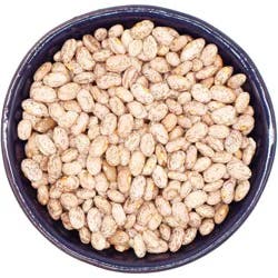Fresh Dried Pinto Beans