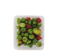 Pinton Cachucha Peppers