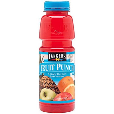 slide 1 of 1, Langers Fruit Punch, 16 fl oz