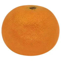 Honey Tangerine
