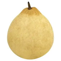 Pears Yali