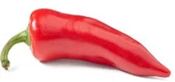 Pepper Chili Fresno