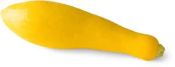 Squash Yellow