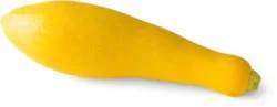 Squash Yellow