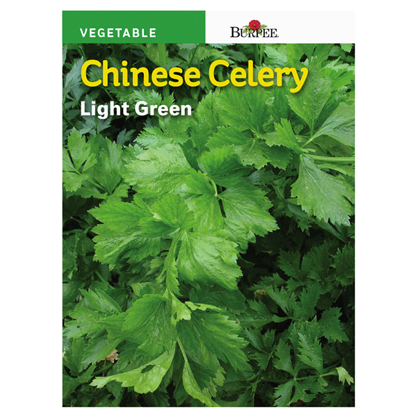 slide 1 of 1, Burpee Asian Celery Chinese Light Green Seeds, 1 ct