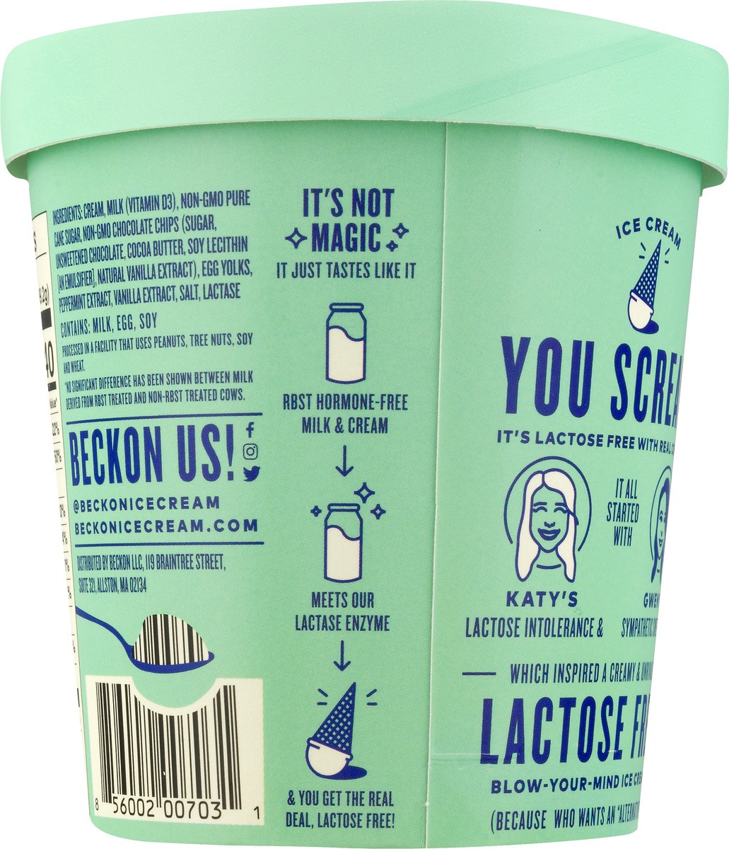 slide 7 of 12, Beckon Lactose Free Mint Chip Ice Cream 1 pt, 16 fl oz