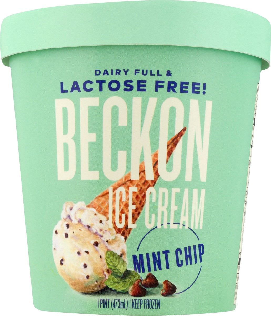 slide 9 of 12, Beckon Lactose Free Mint Chip Ice Cream 1 pt, 16 fl oz