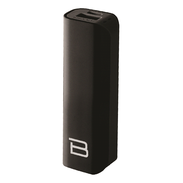 slide 1 of 1, Bytech Universal Dual 2000 MAH Power Bank with micro USB cable, 2 ct; 3k mah