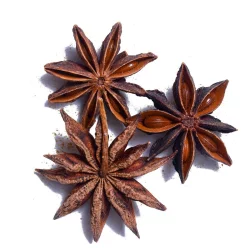 Melissa's Star Anise