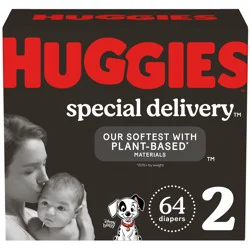 Huggies Special Delivery Hypoallergenic Baby Diapers, Fragrance Free, Size 2, 64 Ct