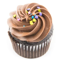 Bakehouse Chocolate/Chocolate Iced Cupcakes