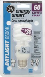 GE Light Bulb 1 ea
