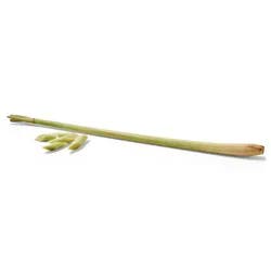 MELISSAS Lemon Grass
