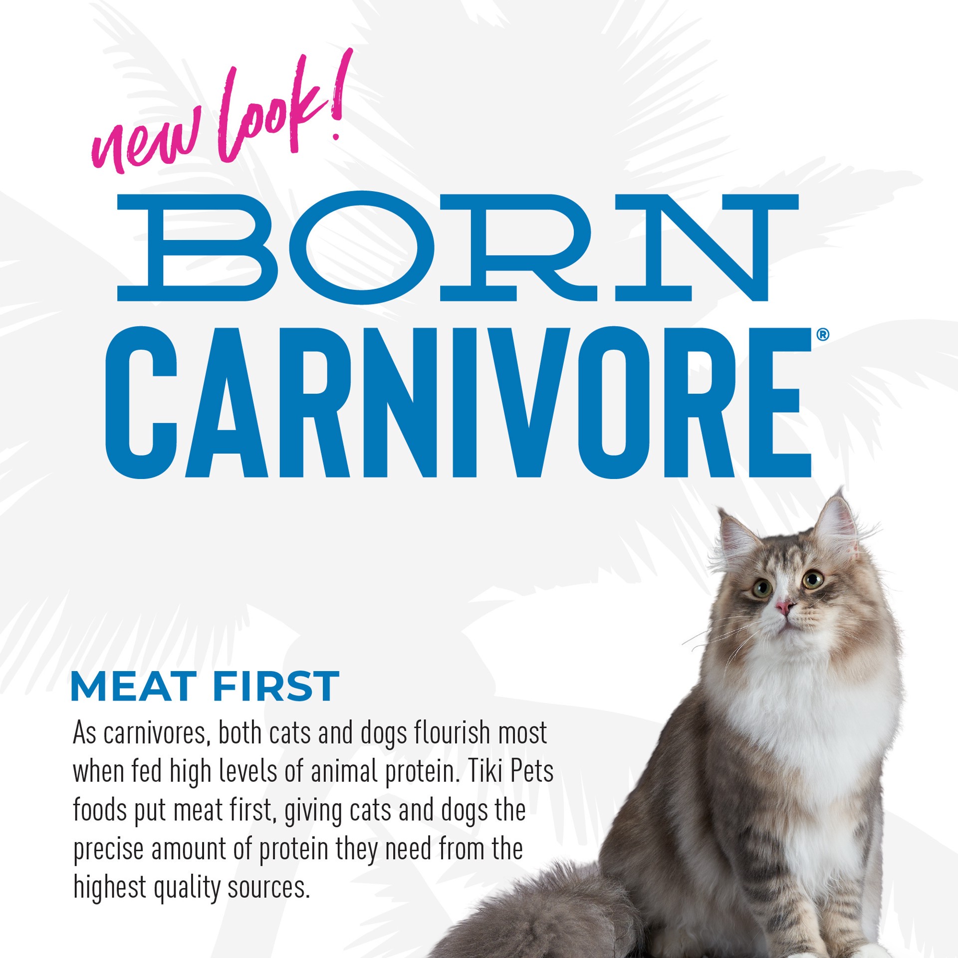 slide 3 of 7, Tiki Cat Born Carnivore Herring & Salmon Dry Food, 11.1 lb