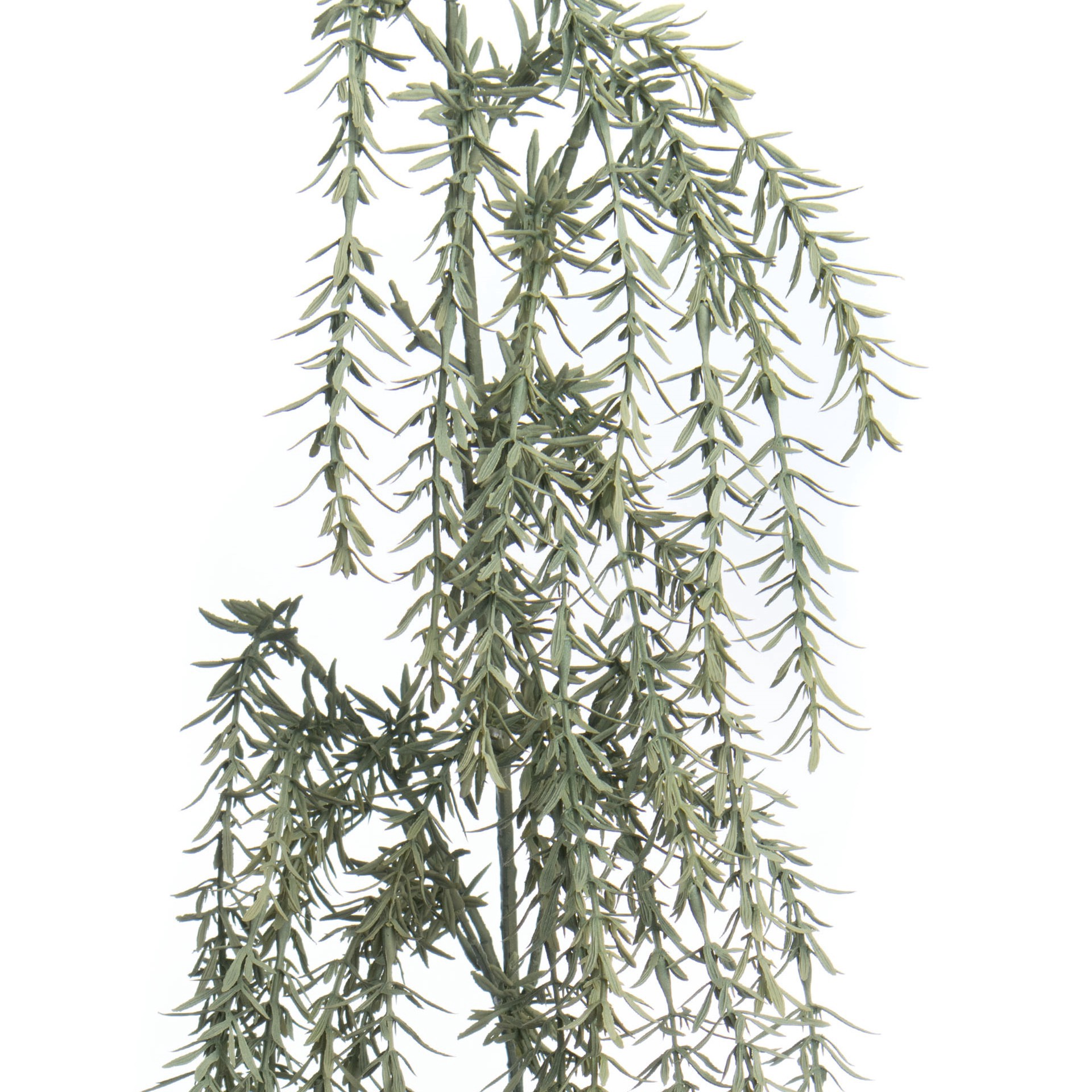 slide 2 of 3, Green Dripping Rosemary Stem By Ashland, 10 in x 3 in x 27 in