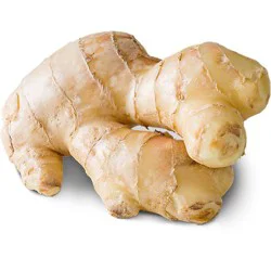 Ginger Root