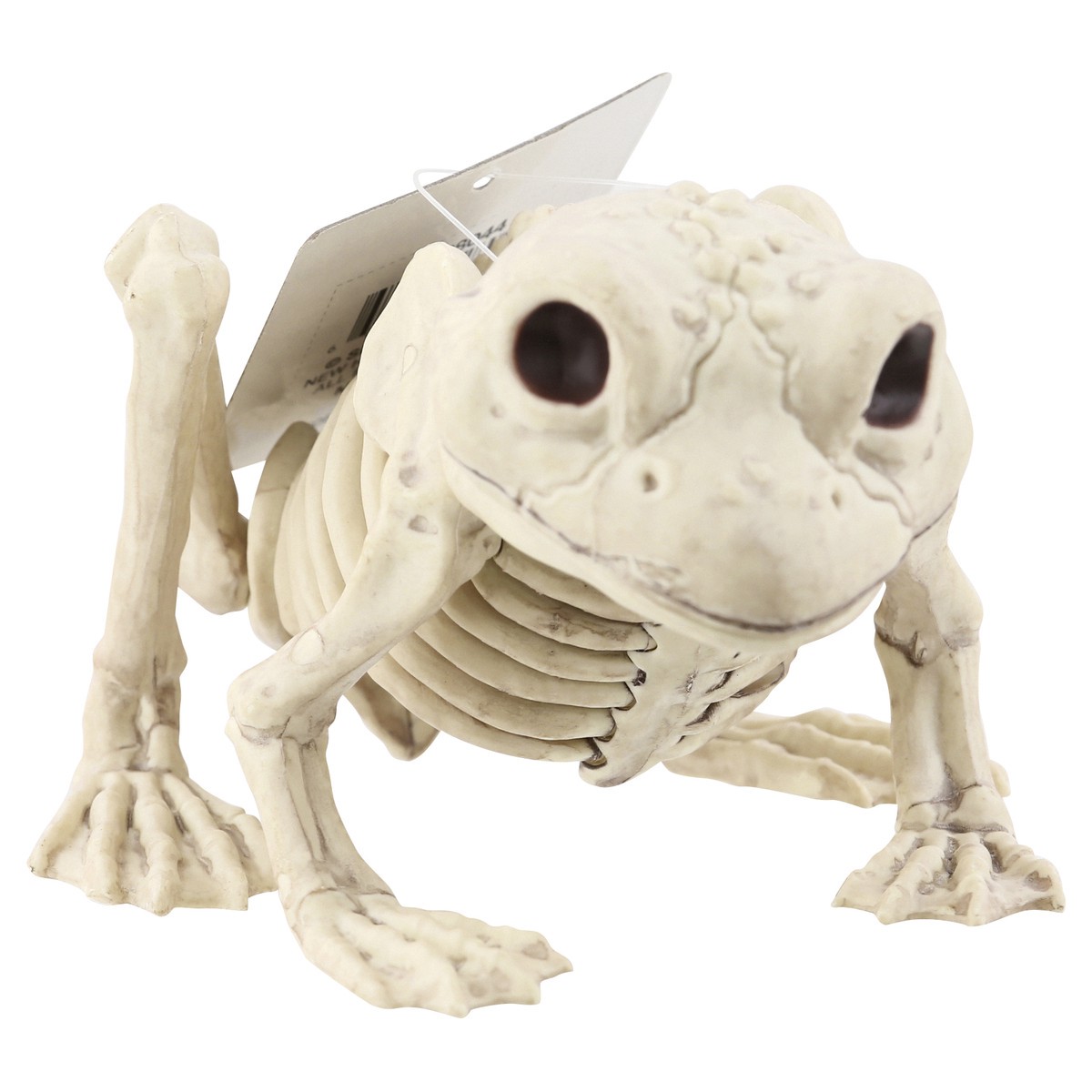 slide 8 of 9, Crazy Bonez Decoration, Skeleton Frog, 1 Each, 1 ct
