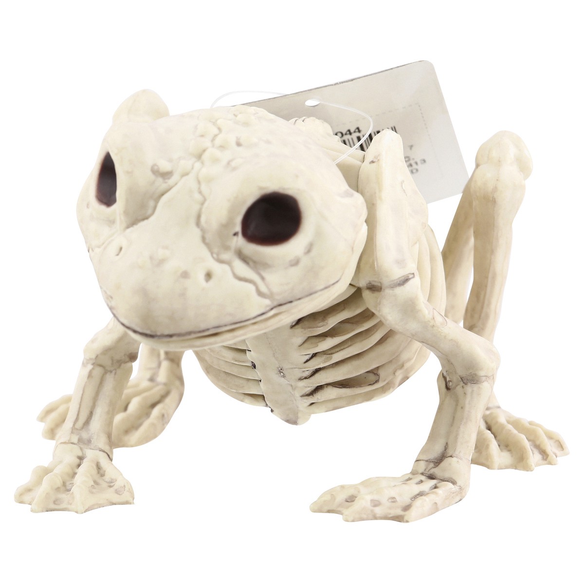 slide 6 of 9, Crazy Bonez Decoration, Skeleton Frog, 1 Each, 1 ct