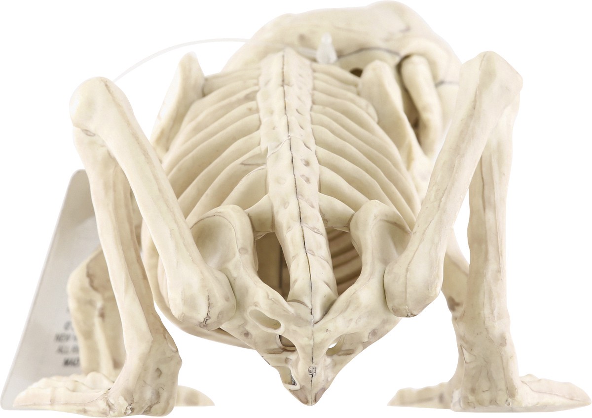 slide 3 of 9, Crazy Bonez Decoration, Skeleton Frog, 1 Each, 1 ct
