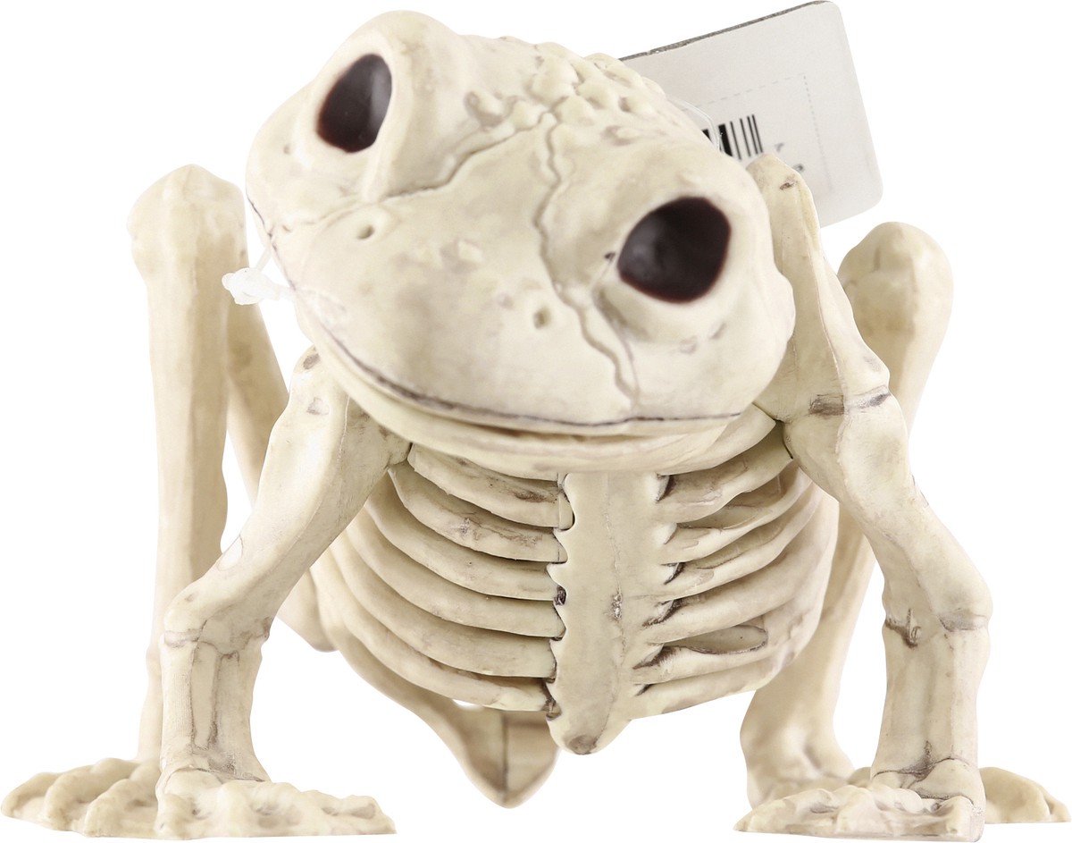 slide 7 of 9, Crazy Bonez Decoration, Skeleton Frog, 1 Each, 1 ct