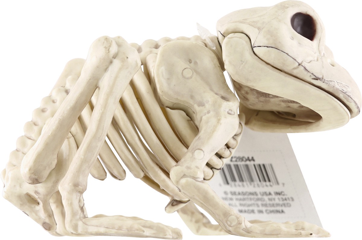 slide 4 of 9, Crazy Bonez Decoration, Skeleton Frog, 1 Each, 1 ct