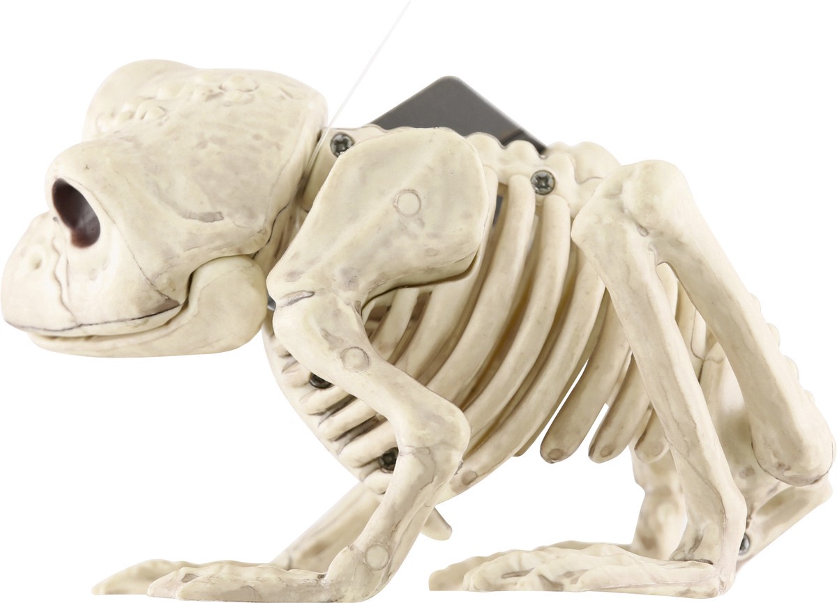 slide 2 of 9, Crazy Bonez Decoration, Skeleton Frog, 1 Each, 1 ct