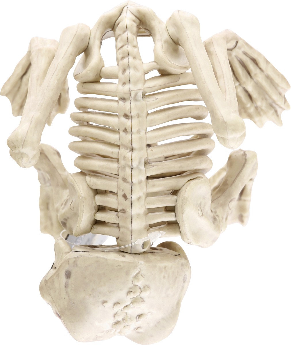 slide 9 of 9, Crazy Bonez Decoration, Skeleton Frog, 1 Each, 1 ct