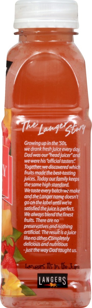 slide 8 of 13, Langers Juice 14 oz, 14 fl oz