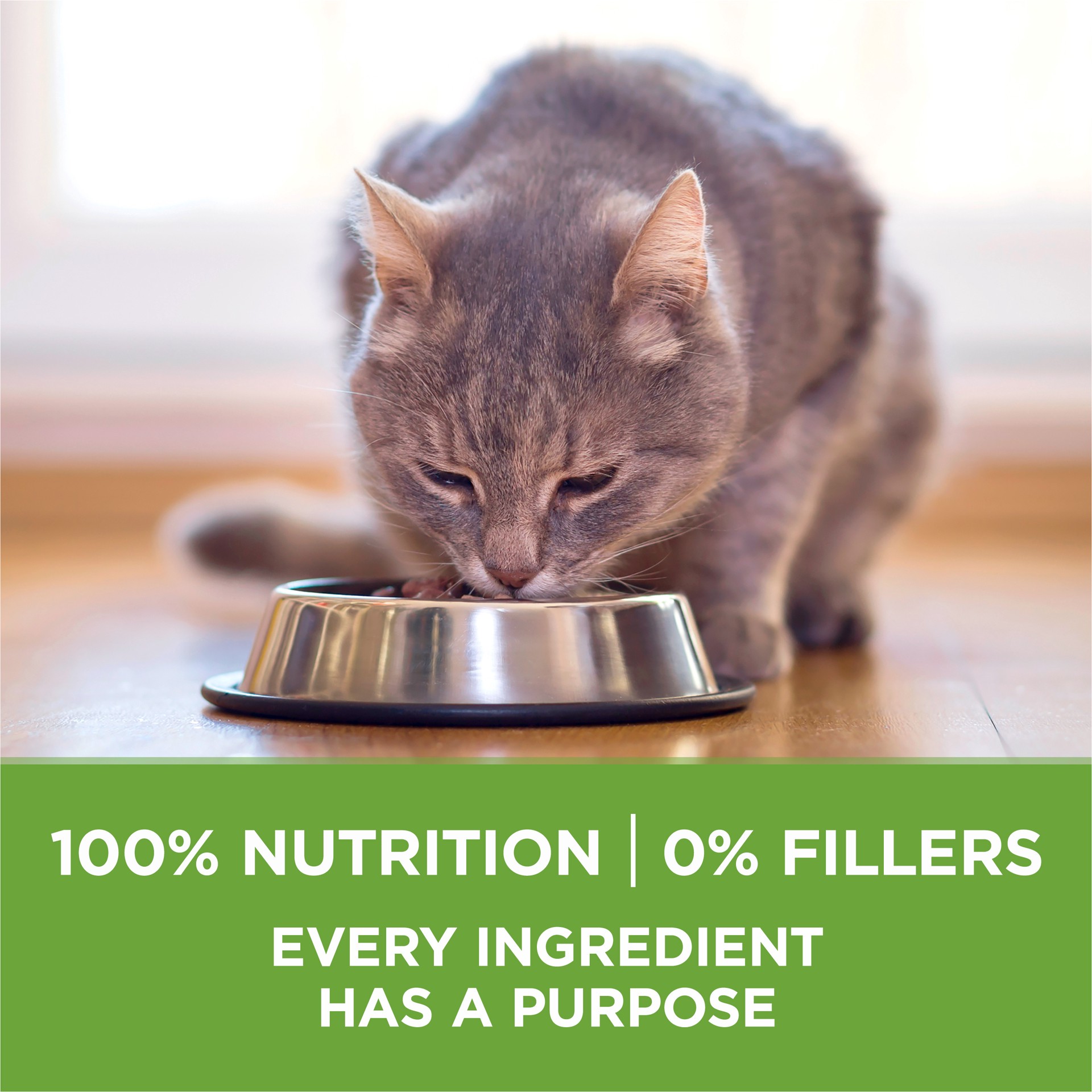 slide 9 of 9, ONE Purina ONE Natural, Low Fat, Weight Control, Indoor Dry Cat Food, +Plus Indoor Advantage, 22 lb