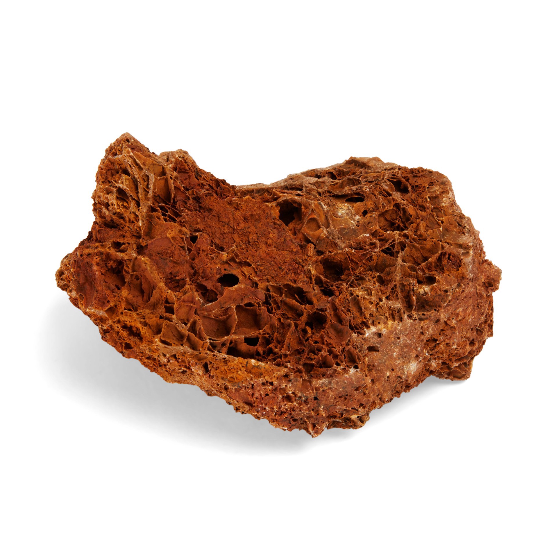 slide 1 of 1, Imagitarium Aquatic Maple Rock, Small, 1 ct