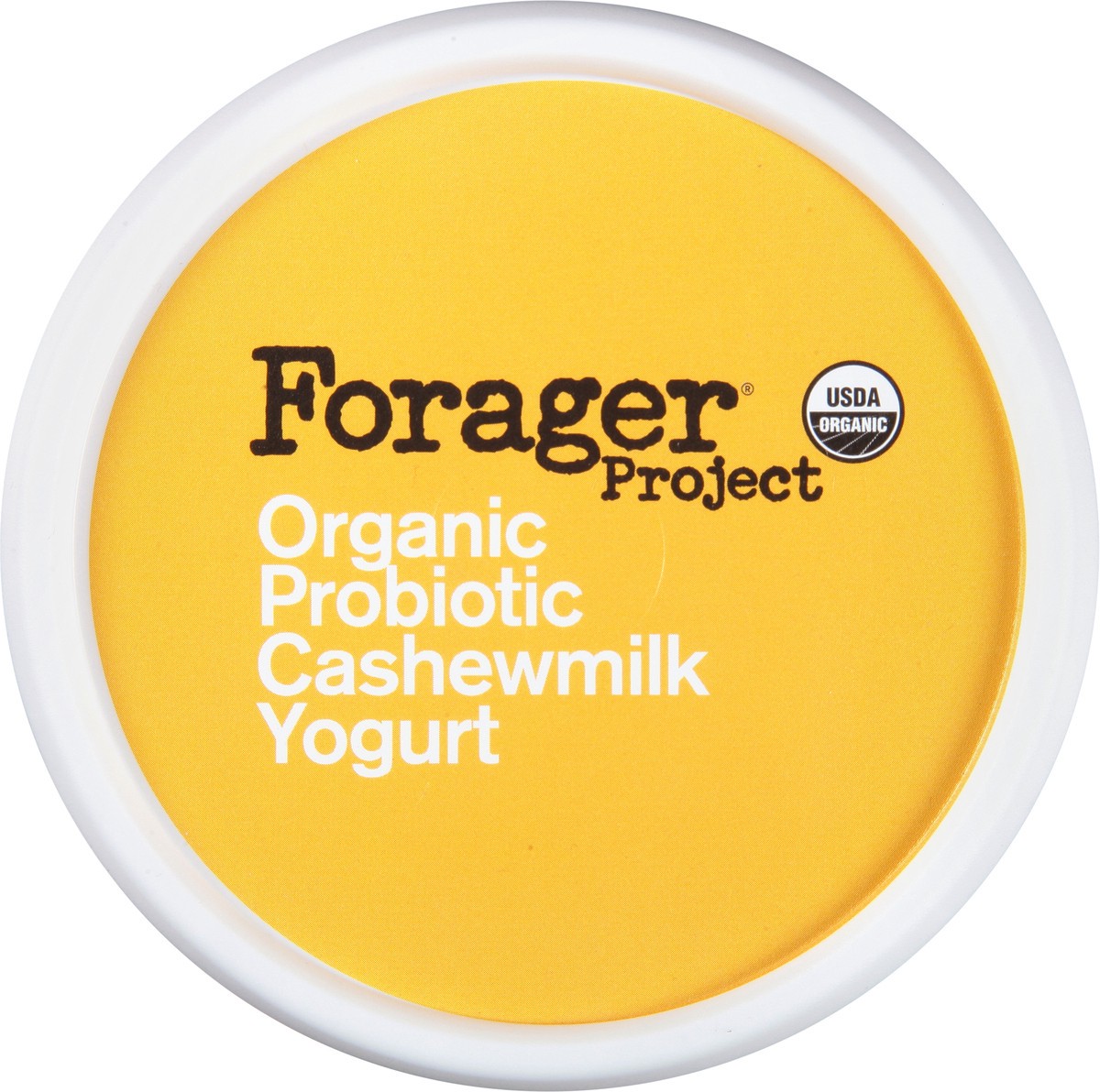 slide 5 of 9, Forager Project Probiotic Organic Dairy-Free Honey Alternative Cashewmilk Yogurt 24 oz, 24 oz