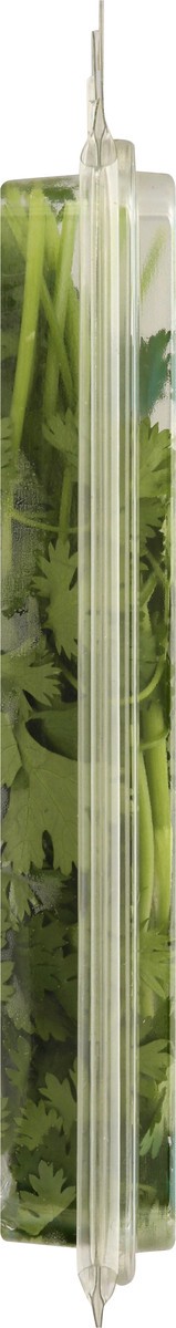 slide 9 of 12, That's Tasty Cilantro .5 Oz, 0.5 oz