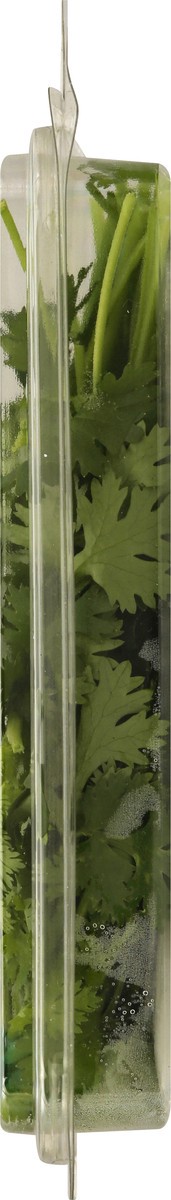 slide 4 of 12, That's Tasty Cilantro .5 Oz, 0.5 oz