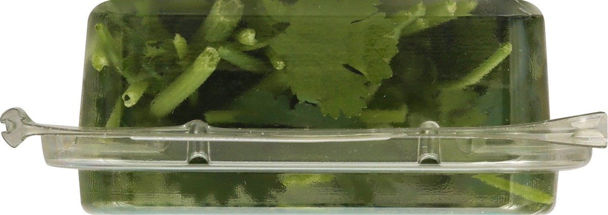 slide 2 of 12, That's Tasty Cilantro .5 Oz, 0.5 oz