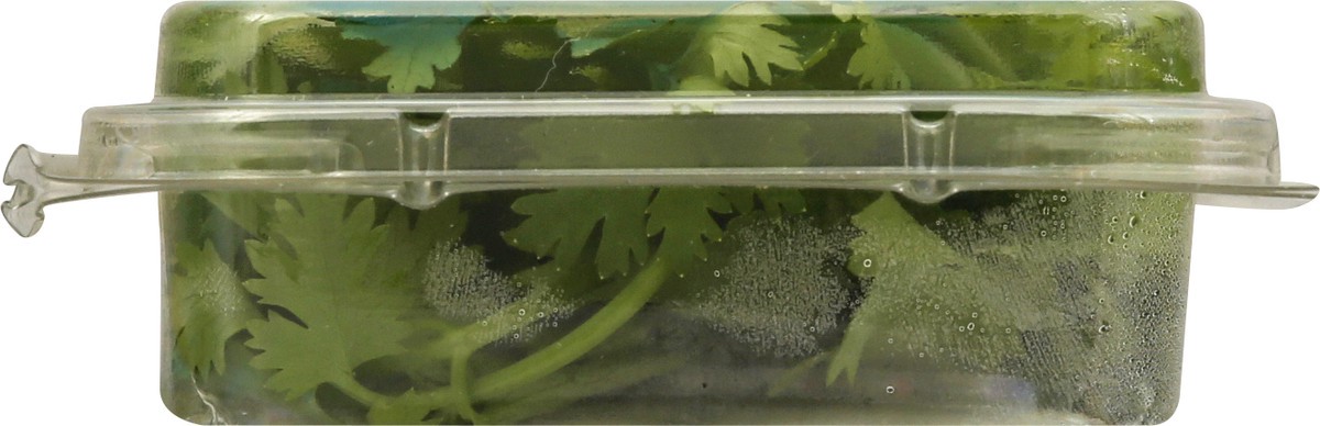 slide 5 of 12, That's Tasty Cilantro .5 Oz, 0.5 oz