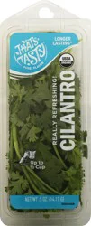 That's Tasty Cilantro .5 Oz
