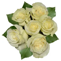 White Roses