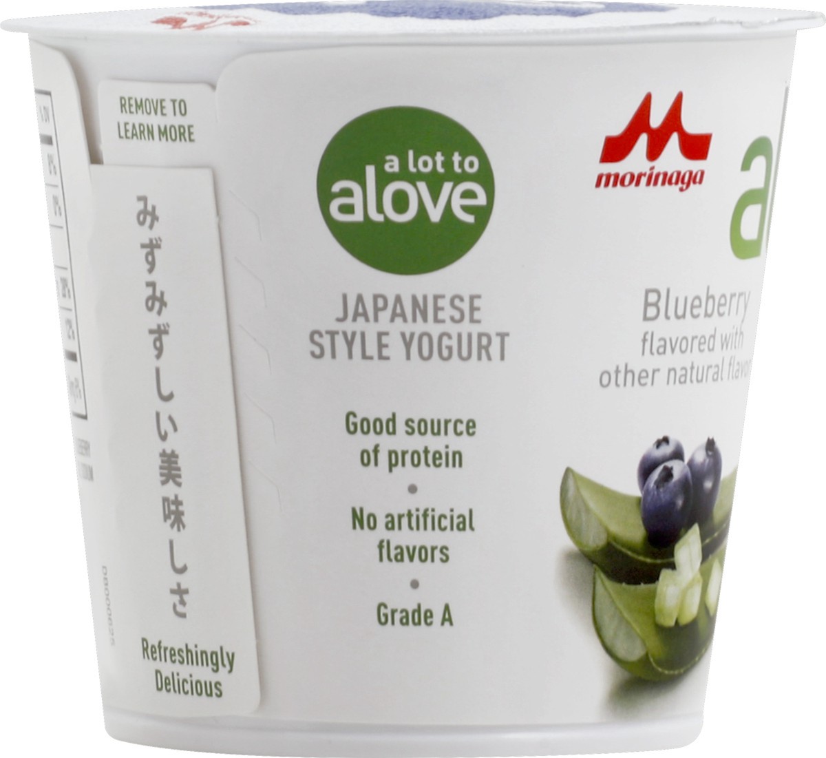 slide 3 of 6, Alove Blueberry Aloe Vera Yogurt, 6 oz