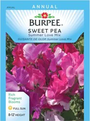 Burpee Sweet Pea Summer Love Mixed Colors