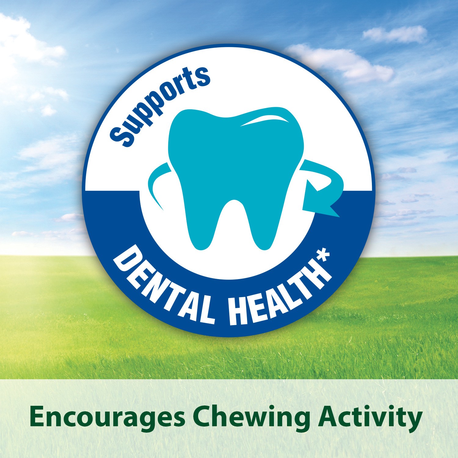 slide 4 of 10, Kaytee General Market Kaytee Forti-Diet Timothy Chew-A-Bowl, 1 ct