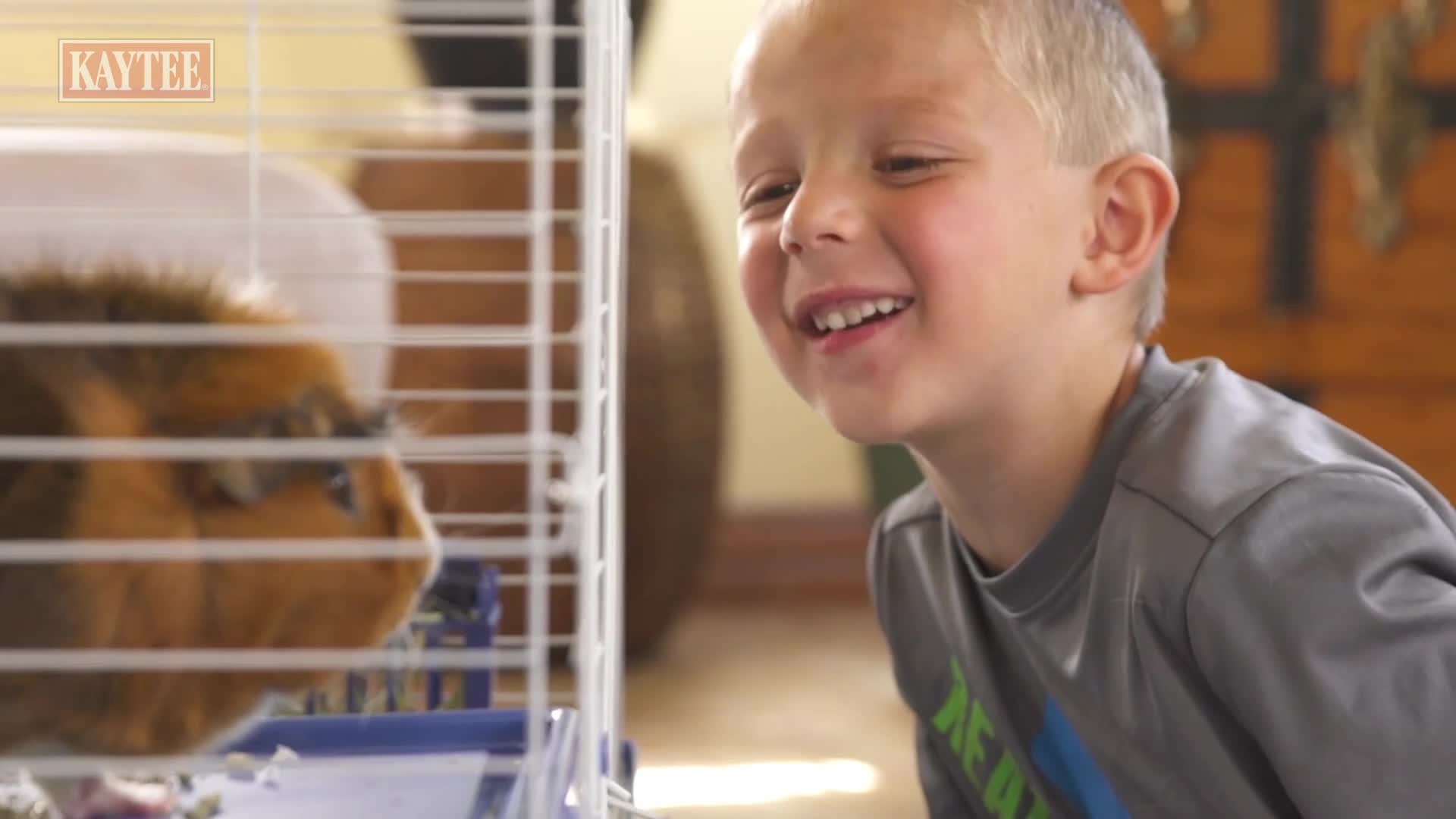 slide 6 of 10, Kaytee General Market Kaytee Forti-Diet Timothy Chew-A-Bowl, 1 ct