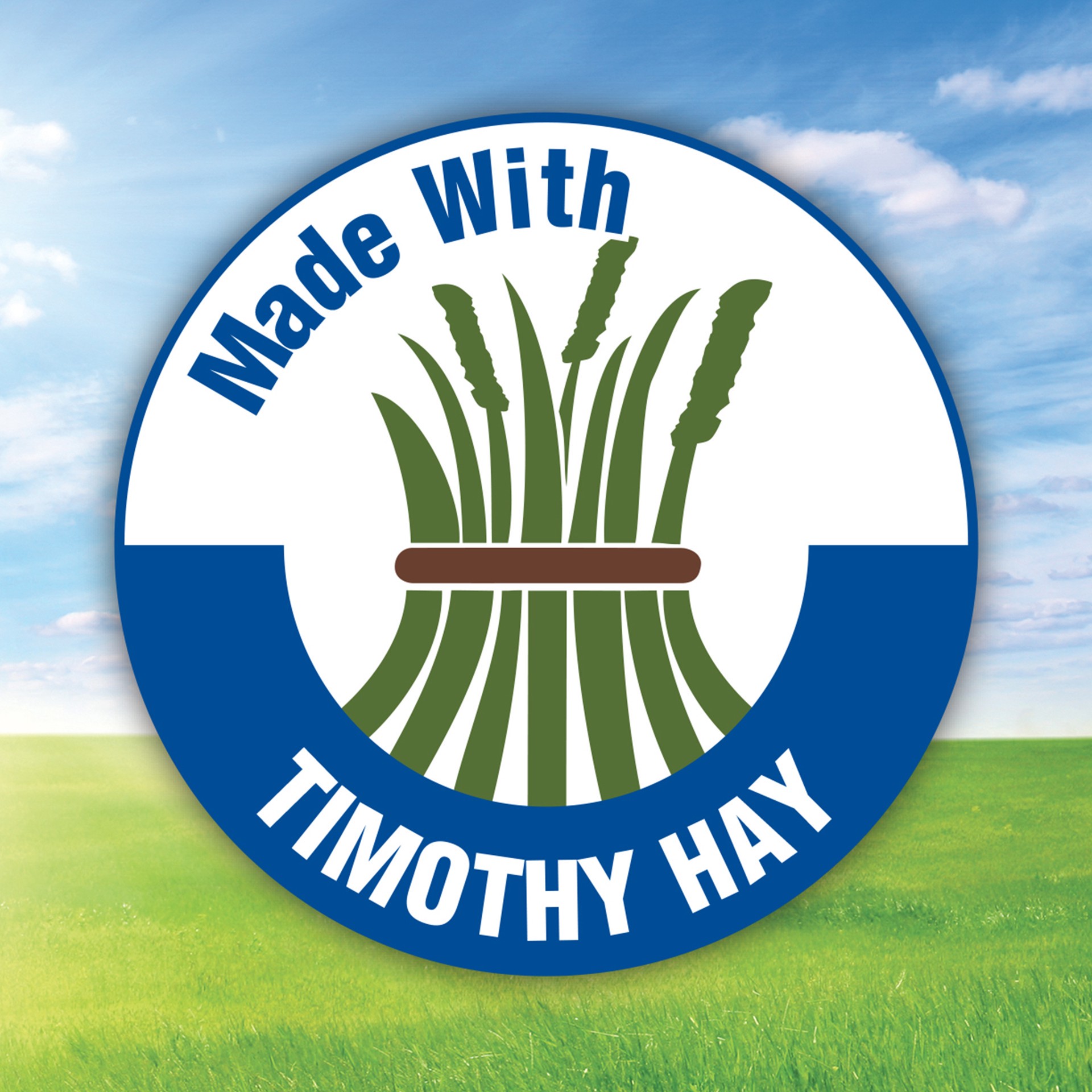 slide 10 of 10, Kaytee General Market Kaytee Forti-Diet Timothy Chew-A-Bowl, 1 ct