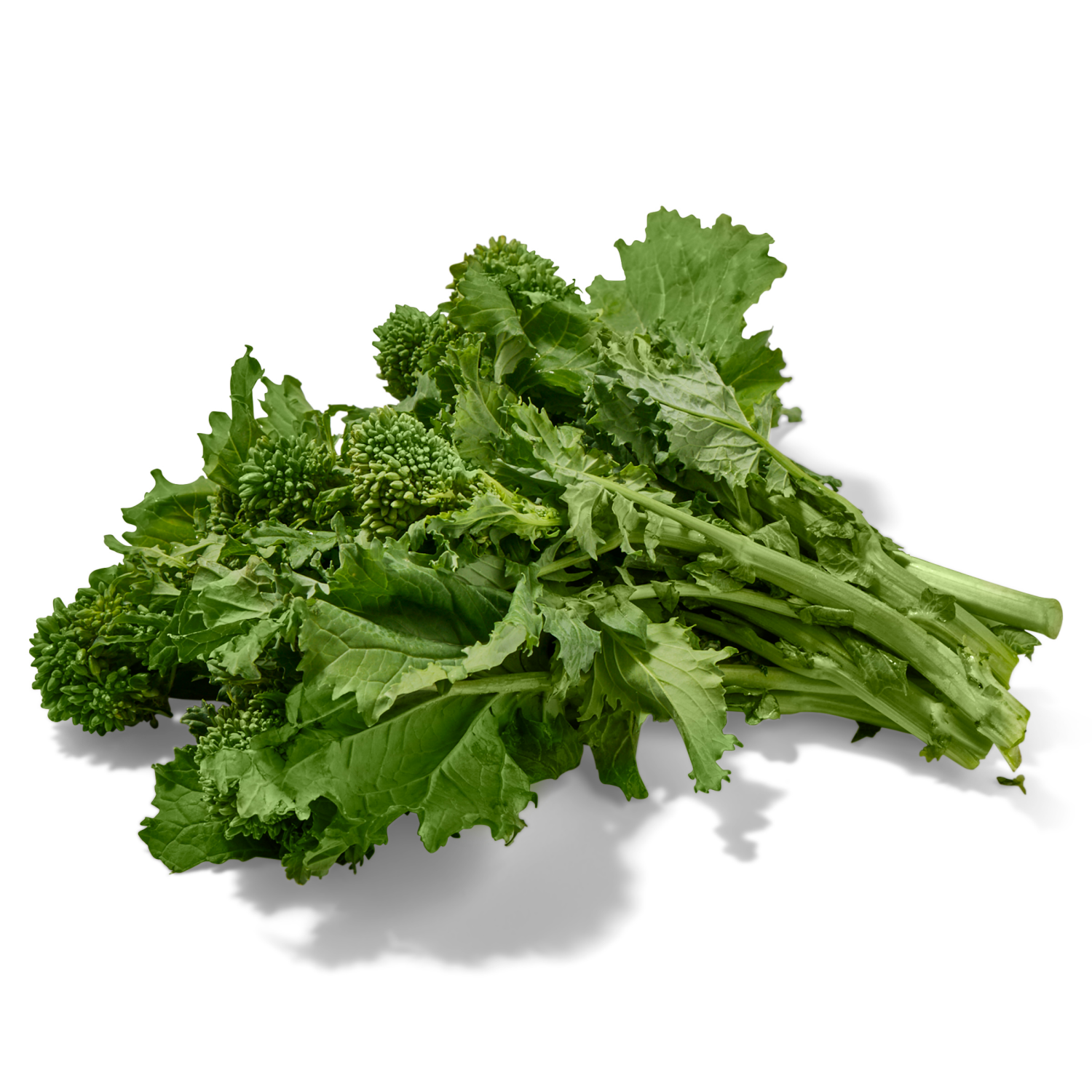 slide 2 of 2, Culantro, lb