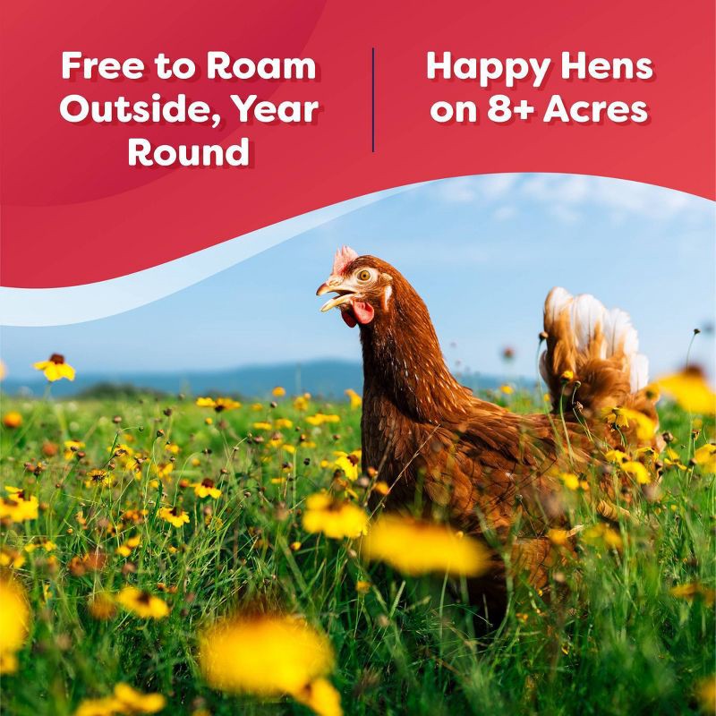 slide 3 of 7, The Happy Egg Co. Happy Egg Co. Large Brown Grade A Free Range Eggs - 12ct, 12 ct