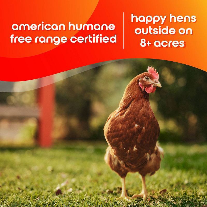 slide 4 of 7, The Happy Egg Co. Happy Egg Co. Large Brown Grade A Free Range Eggs - 12ct, 12 ct