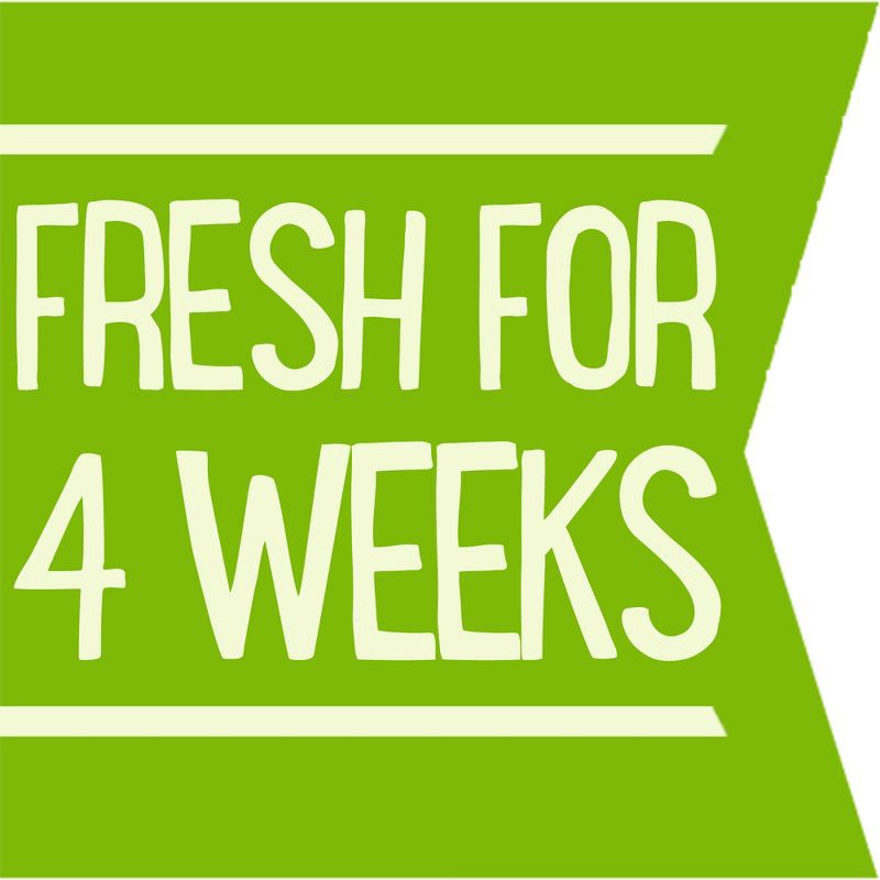 slide 3 of 8, Gourmet Garden Organic Lightly Dried Cilantro - 0.35oz, 0.35 oz