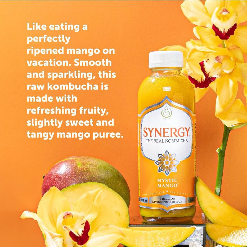 slide 6 of 8, GT's Synergy The Real Kombucha, Mystic Mango – 16 fl oz, 16 fl oz