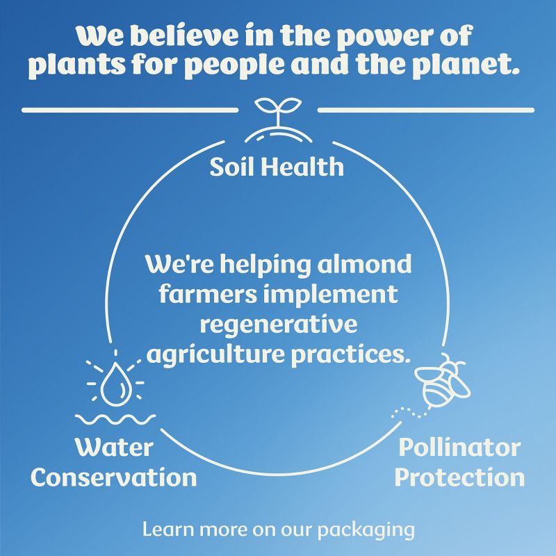 slide 6 of 12, Silk Vanilla Almond Creamer - 32 fl oz (1qt) Bottle, 32 fl oz, 1 qt